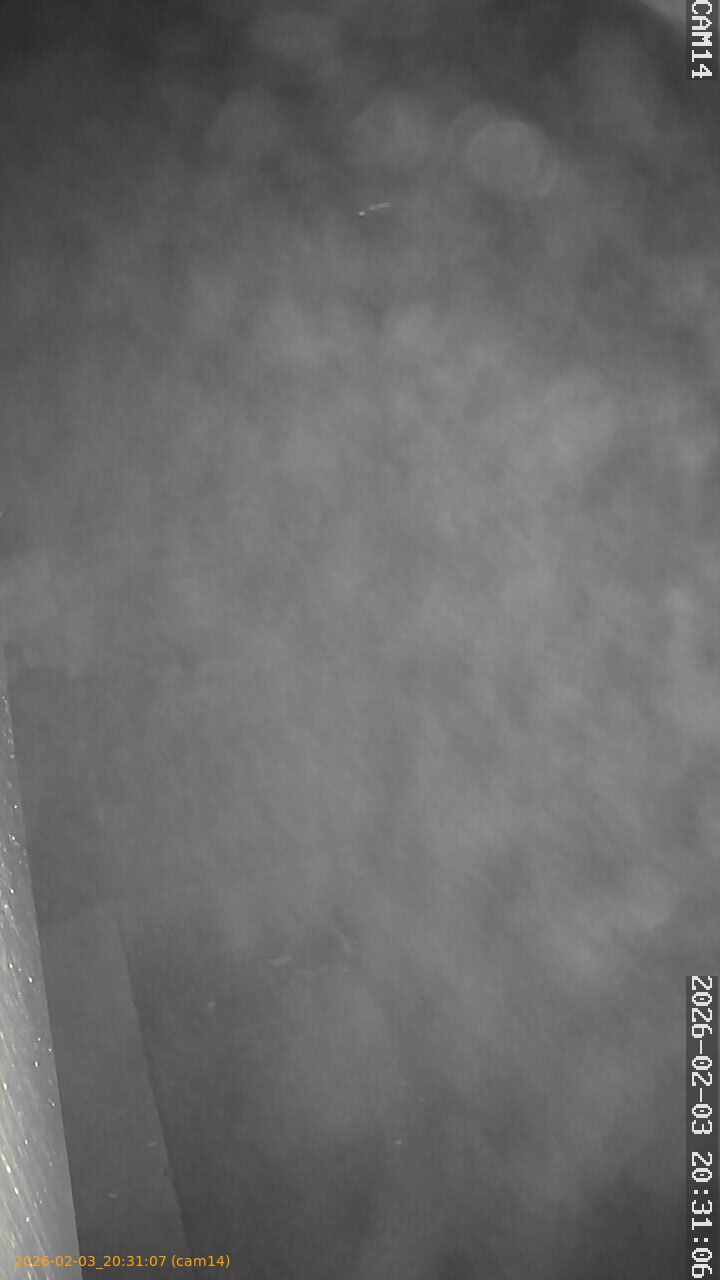 thumbnail_20260203203107