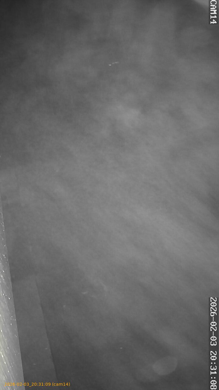 thumbnail_20260203203109