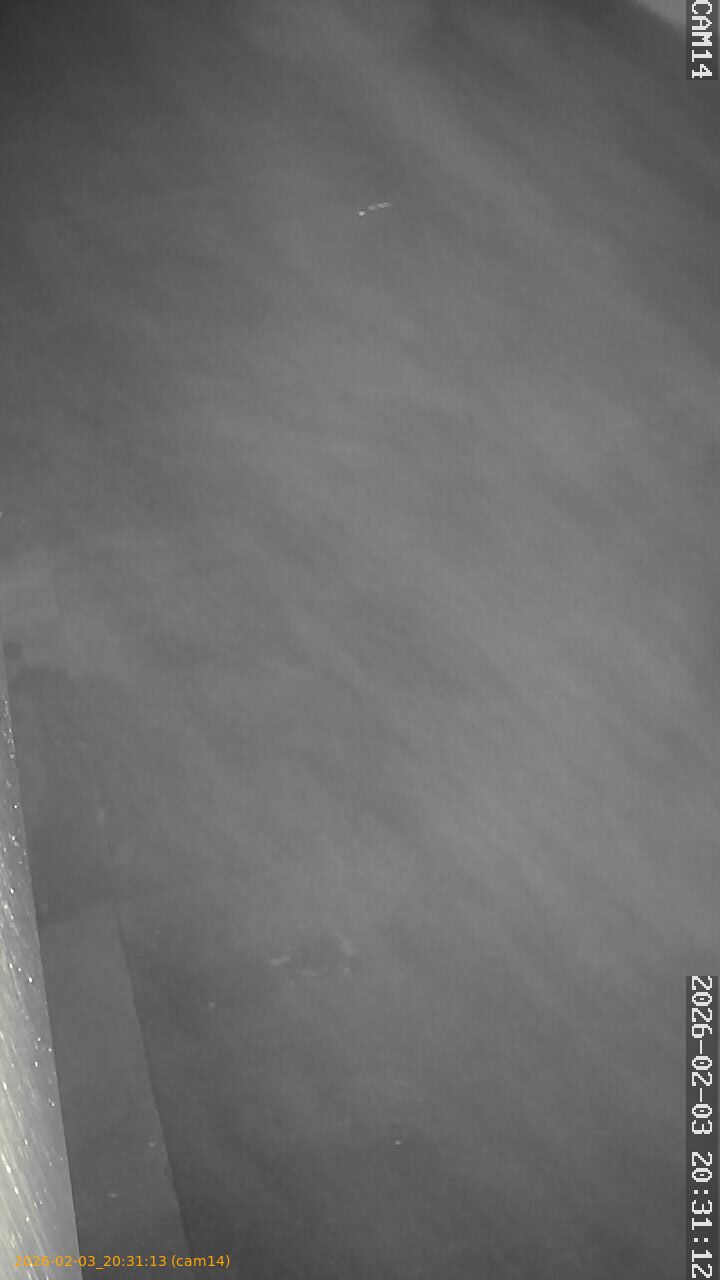 thumbnail_20260203203113