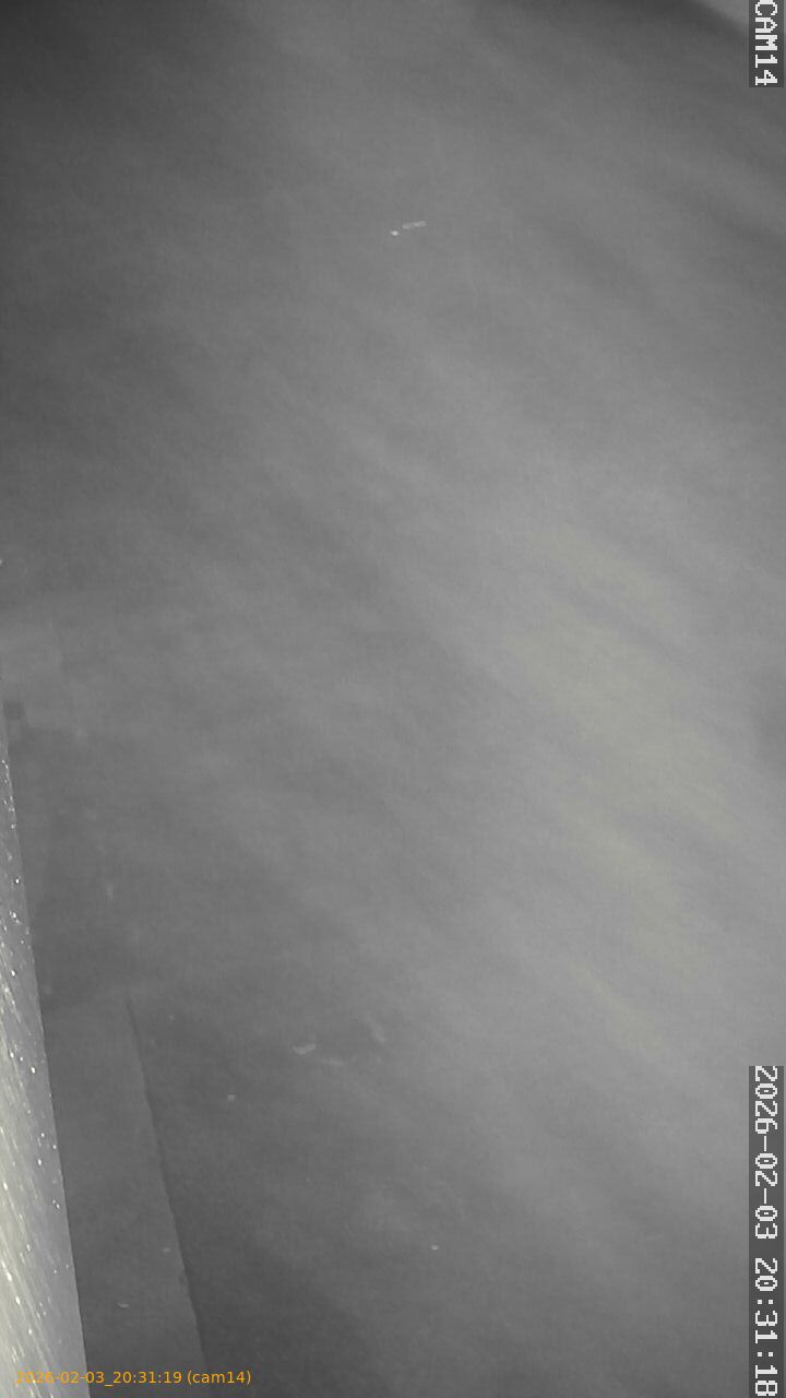 thumbnail_20260203203119