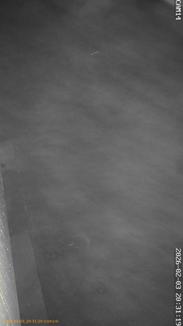 thumbnail_20260203203120