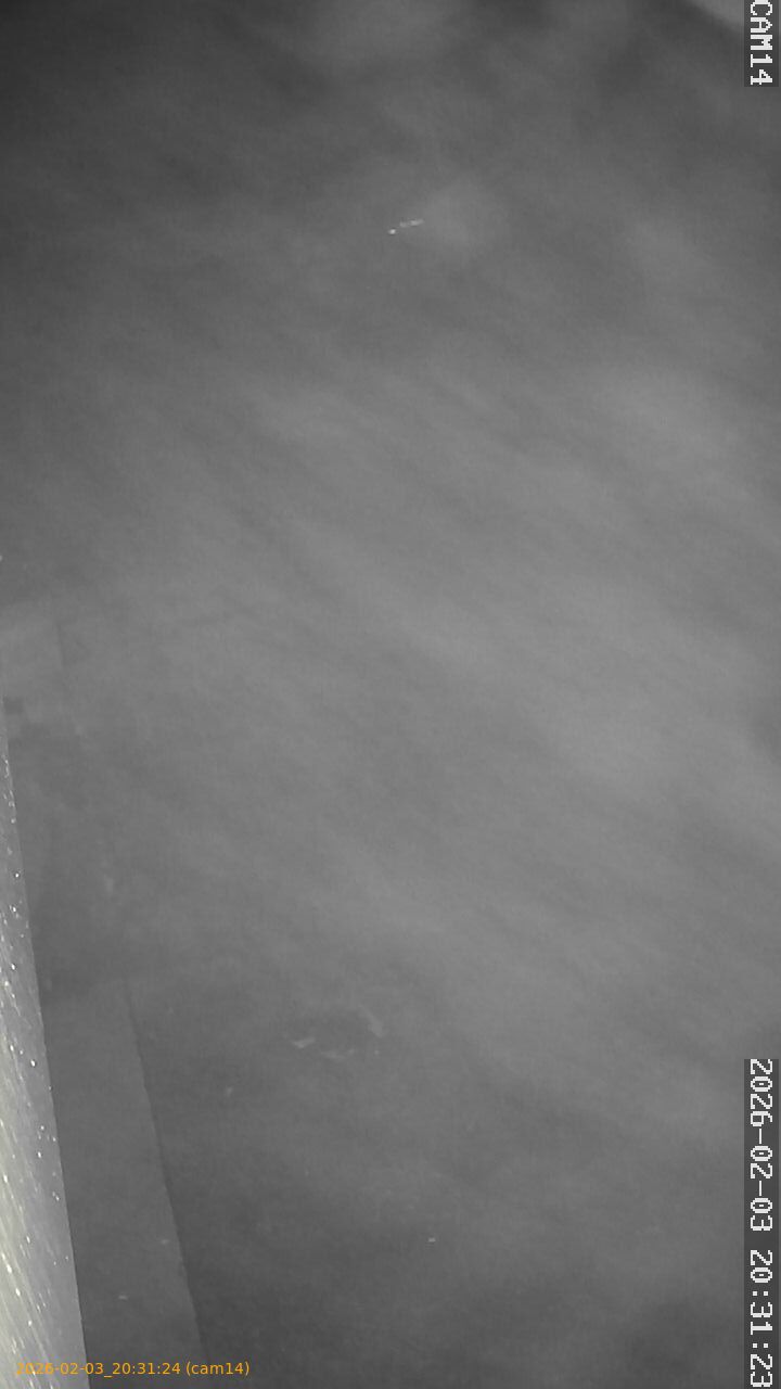 thumbnail_20260203203124