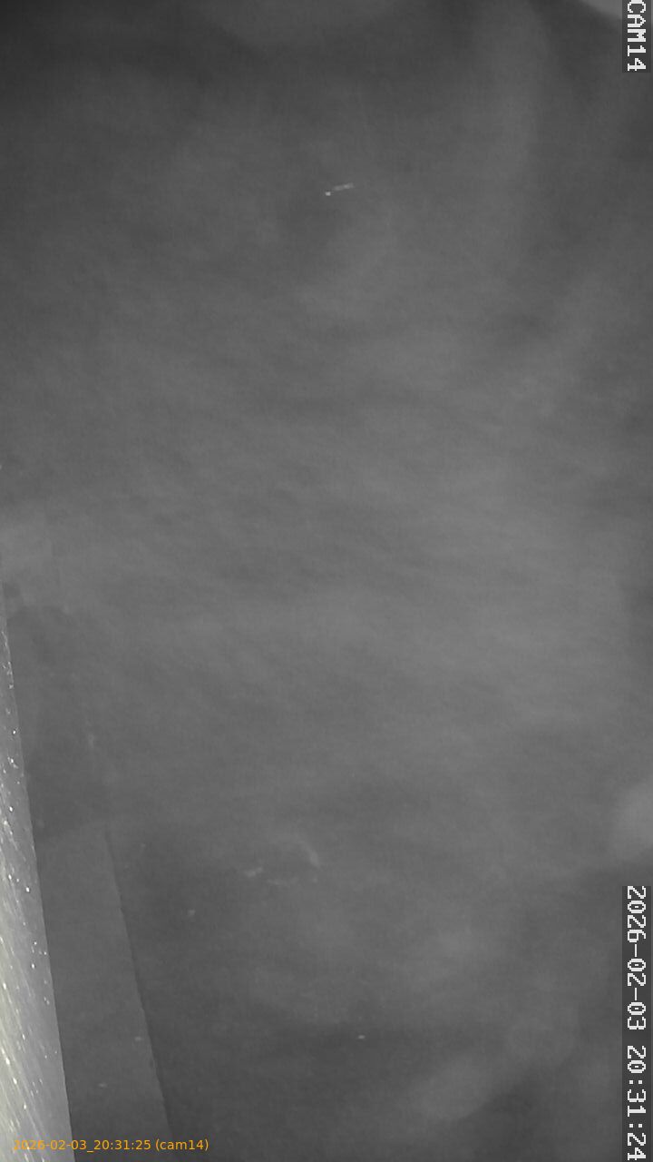 thumbnail_20260203203125