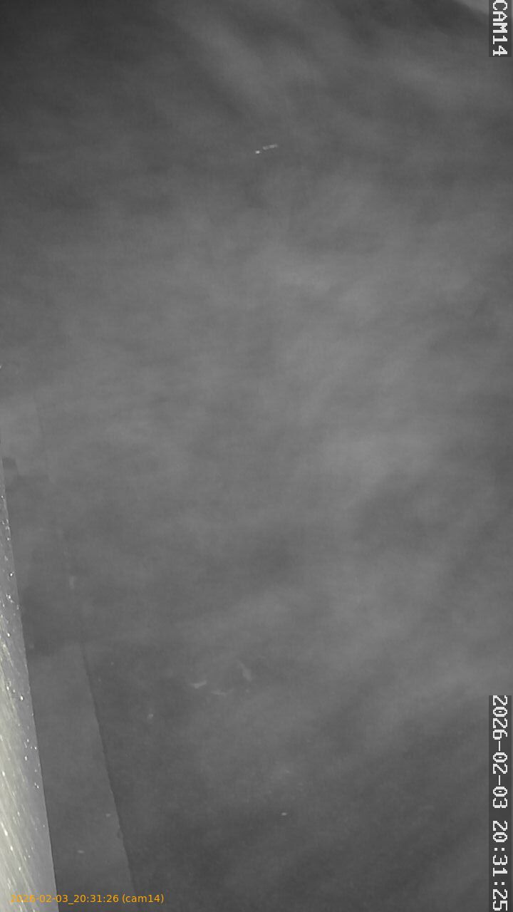 thumbnail_20260203203126