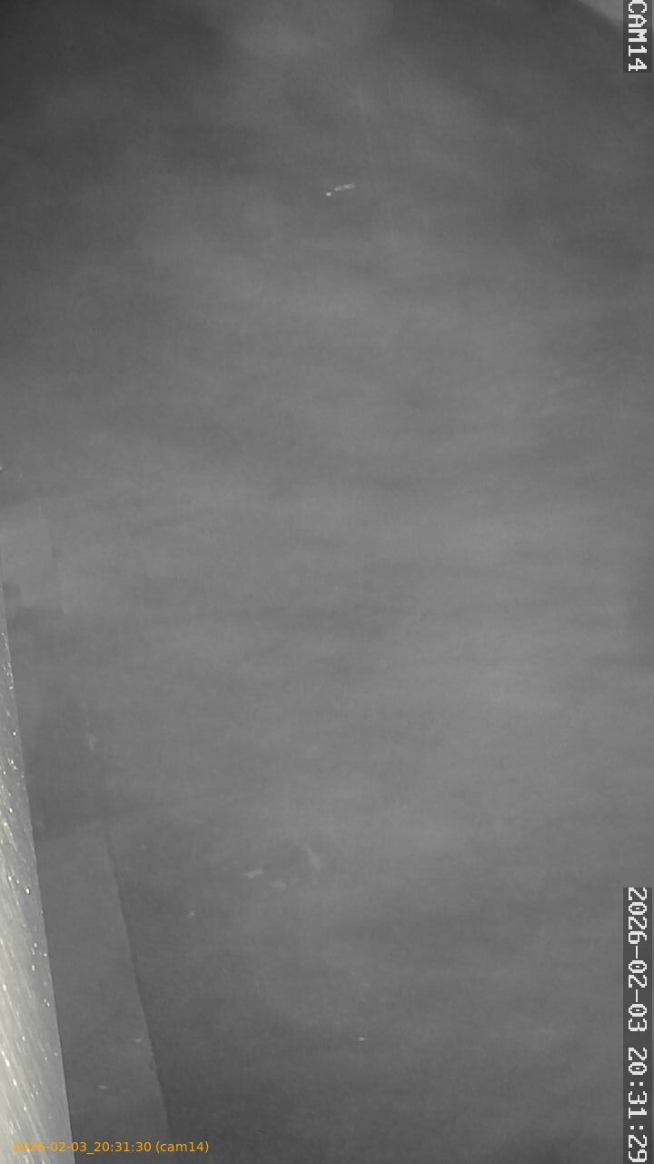 thumbnail_20260203203130