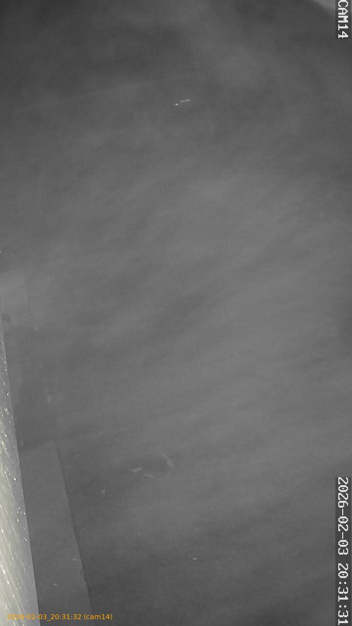 thumbnail_20260203203132