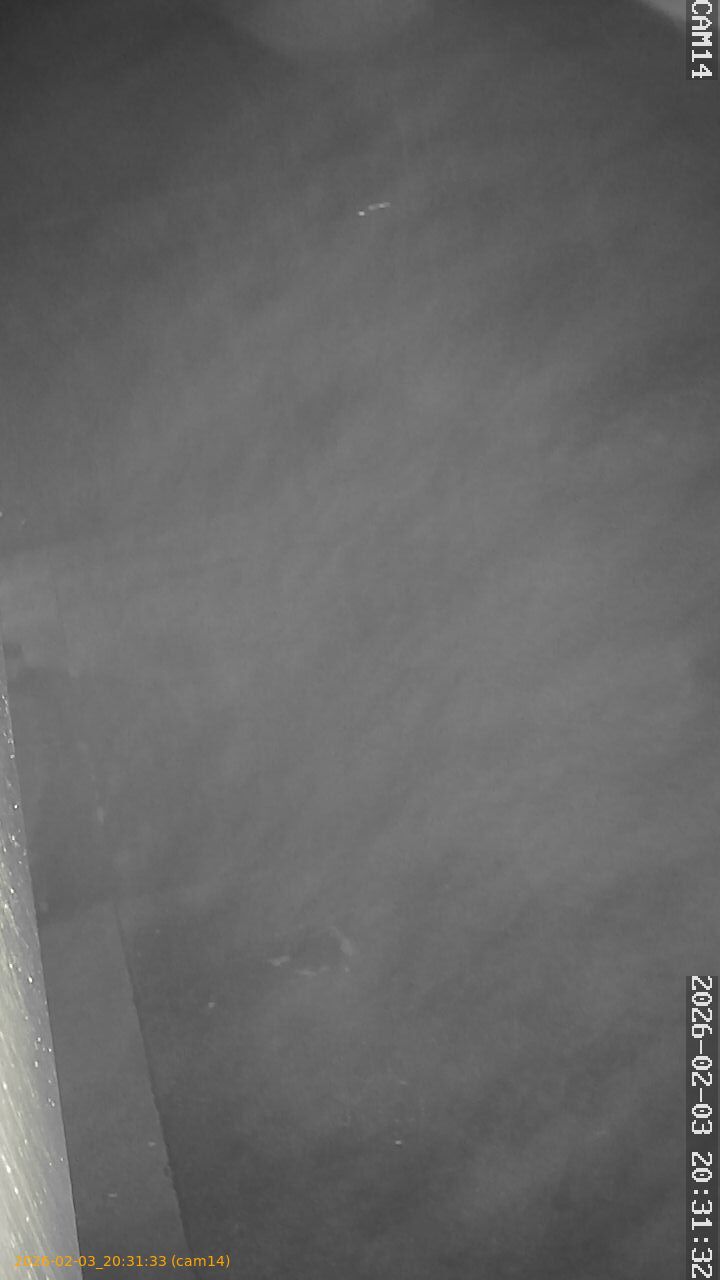 thumbnail_20260203203133