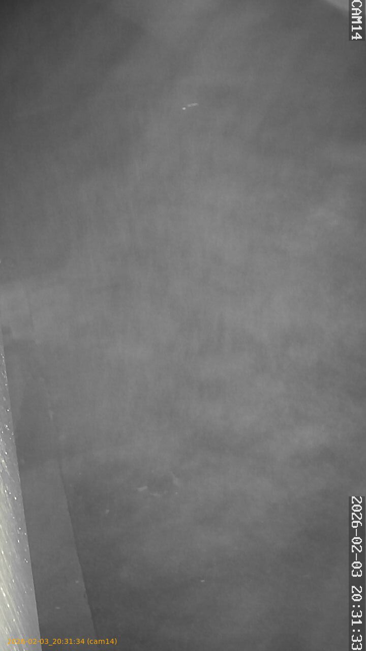 thumbnail_20260203203134