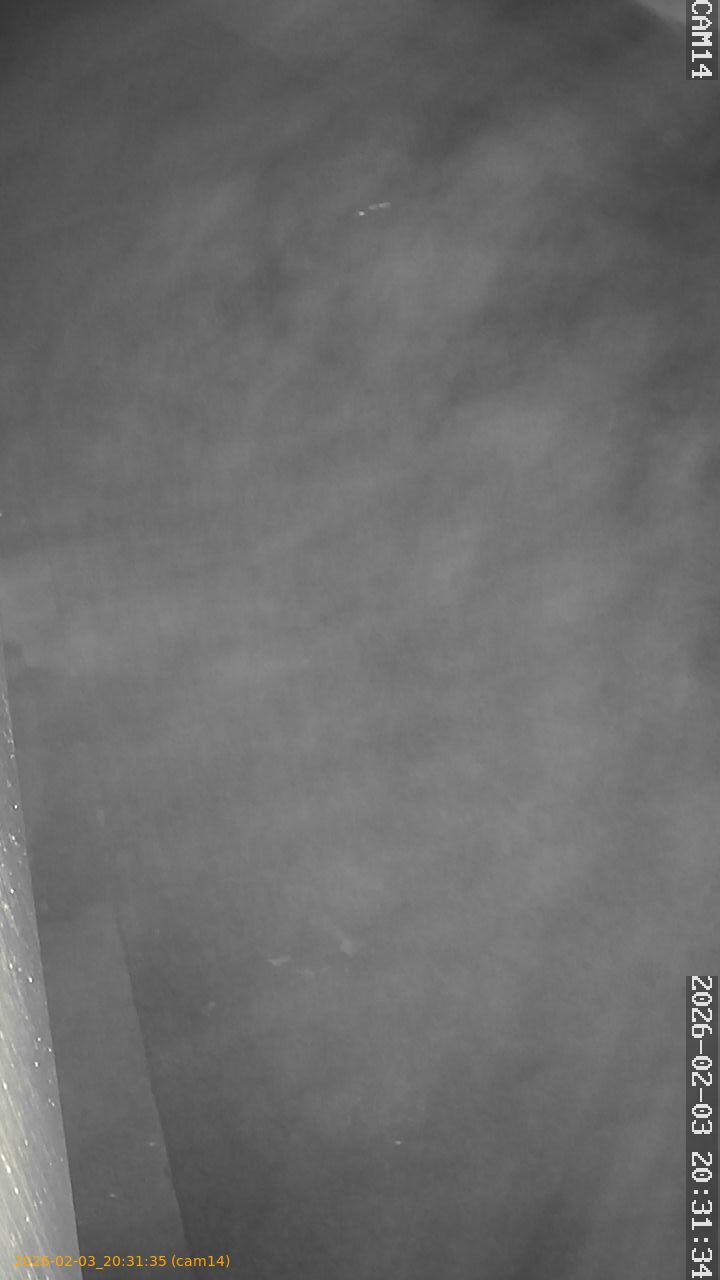 thumbnail_20260203203135