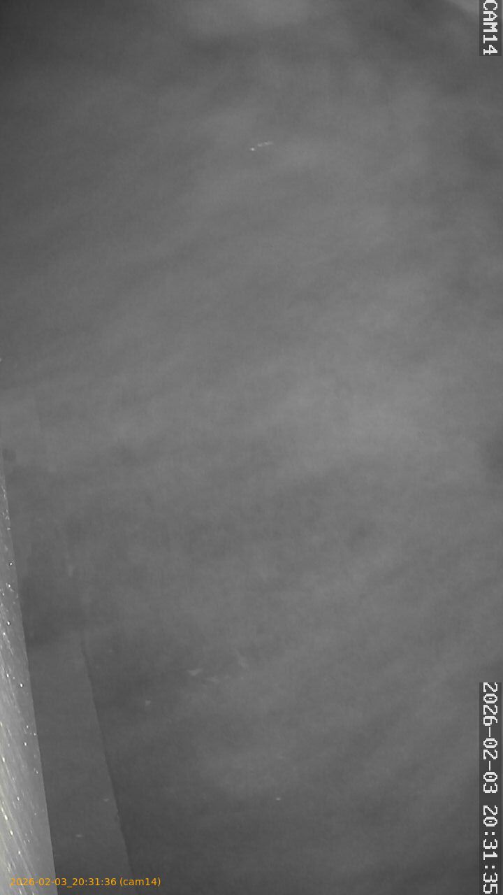 thumbnail_20260203203136