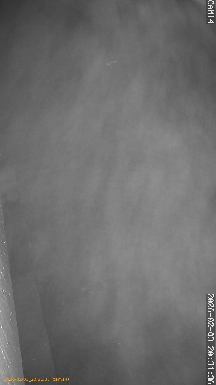 thumbnail_20260203203137