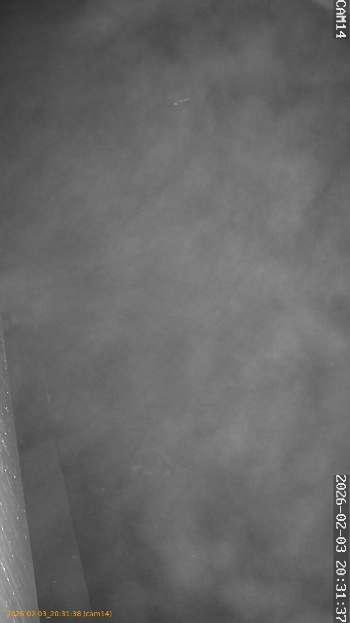 thumbnail_20260203203138