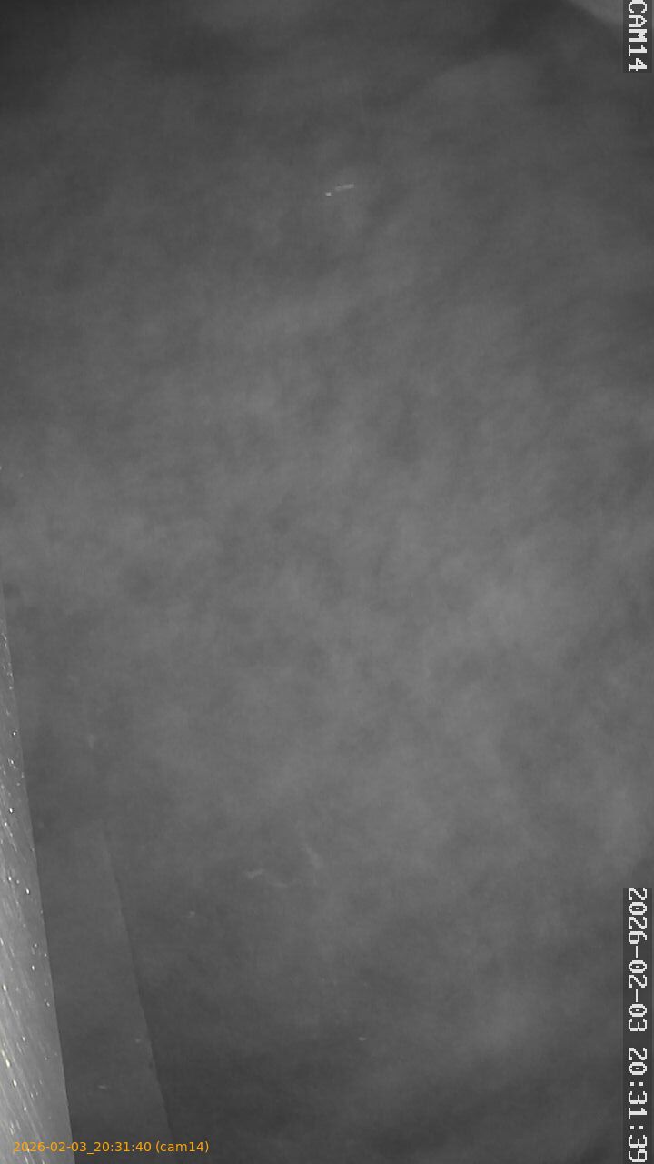 thumbnail_20260203203140