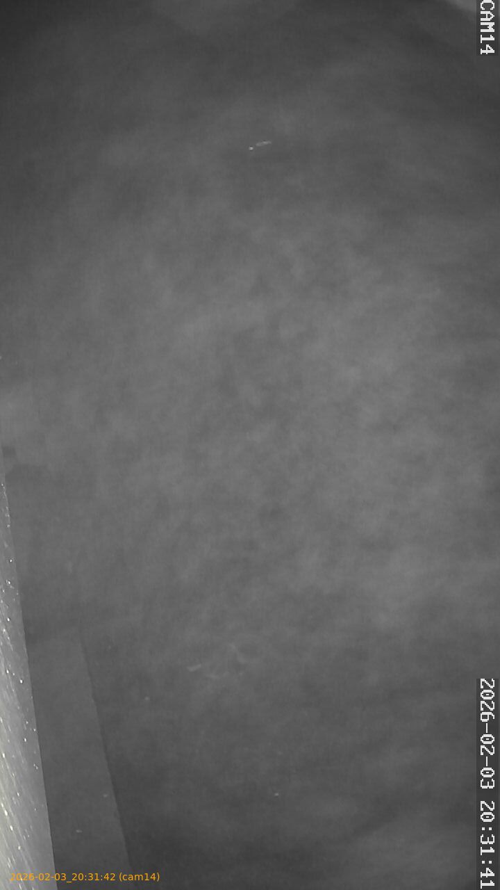 thumbnail_20260203203142