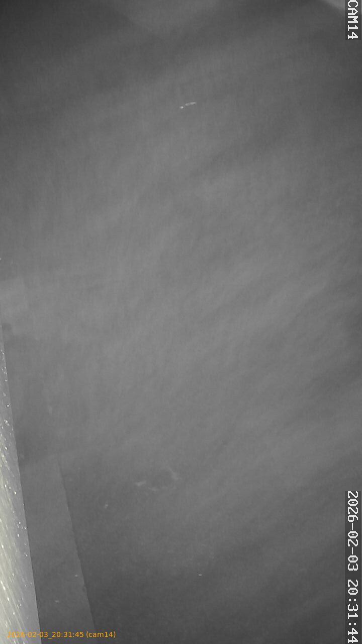 thumbnail_20260203203145