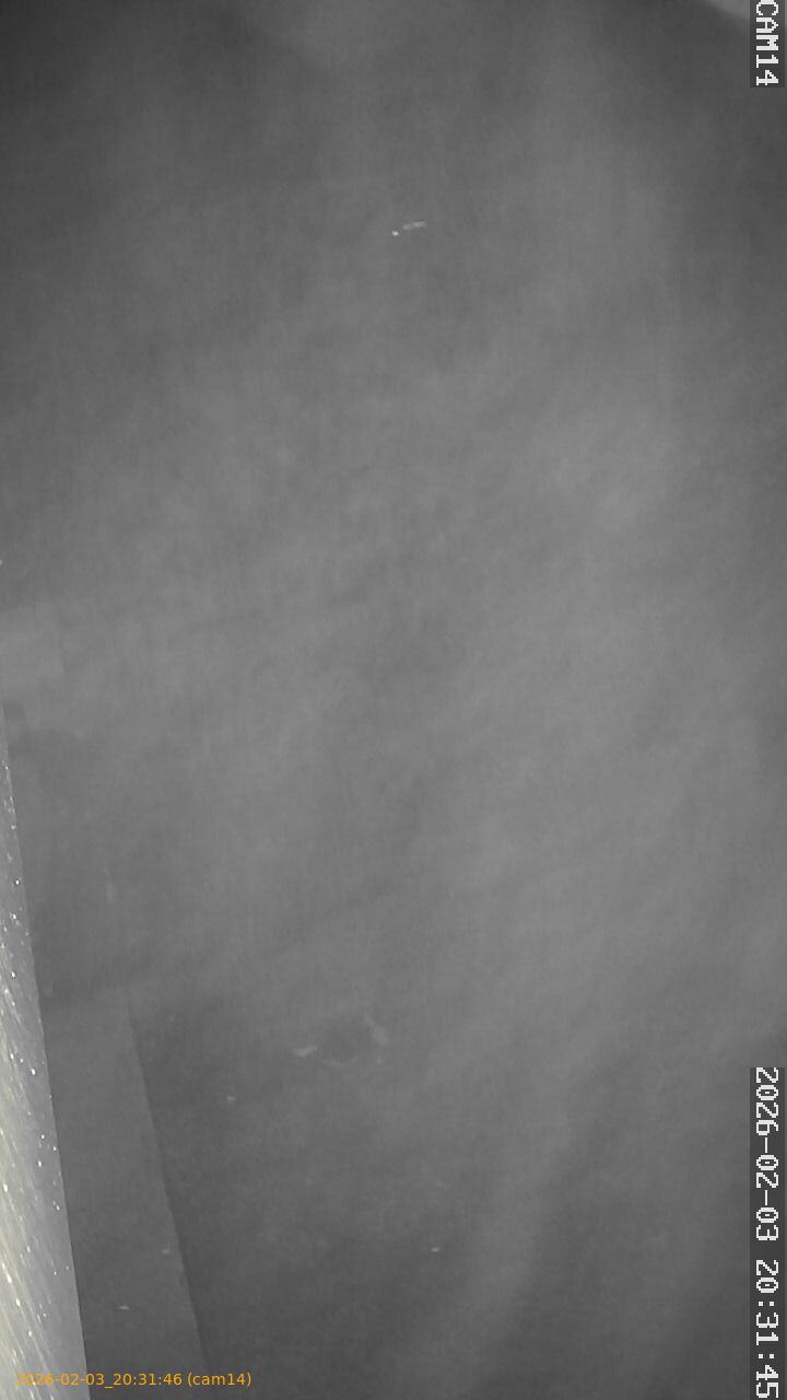 thumbnail_20260203203146