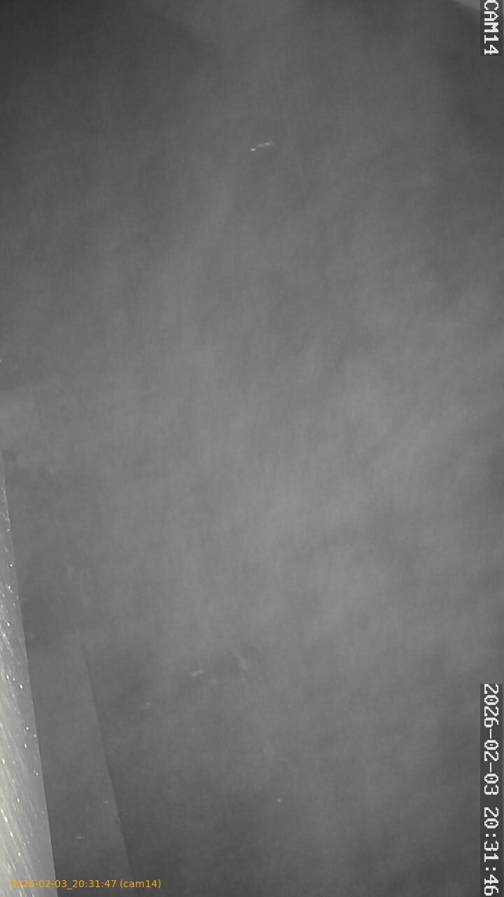 thumbnail_20260203203147