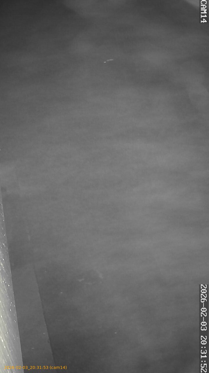 thumbnail_20260203203153