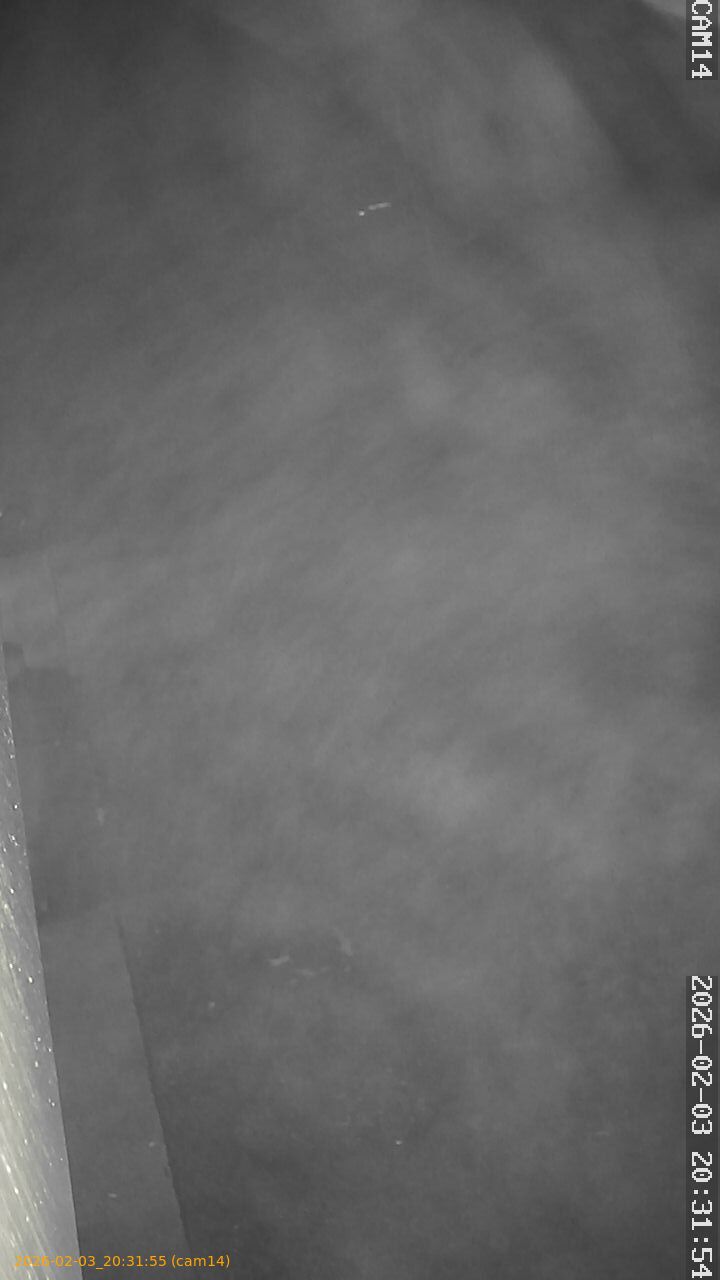 thumbnail_20260203203155