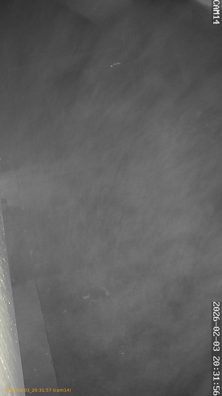 thumbnail_20260203203157