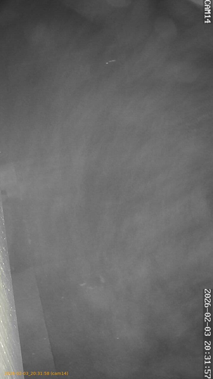 thumbnail_20260203203158