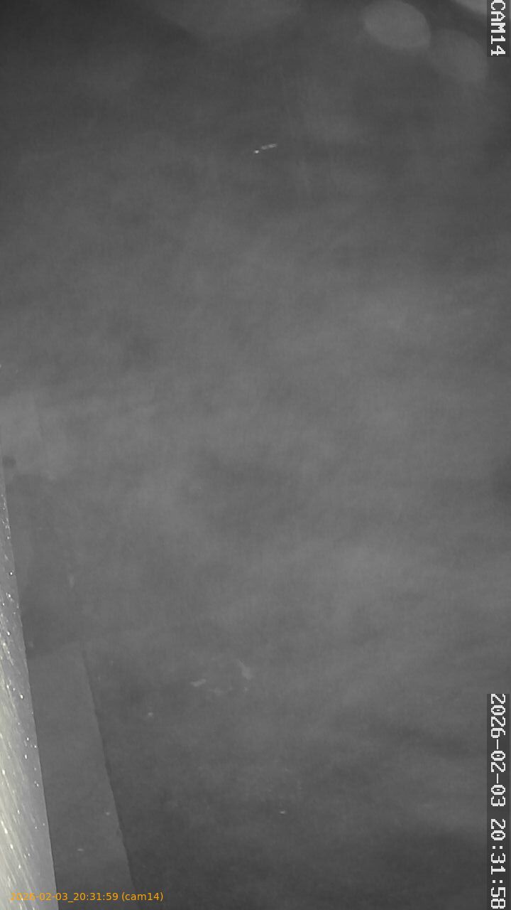 thumbnail_20260203203159