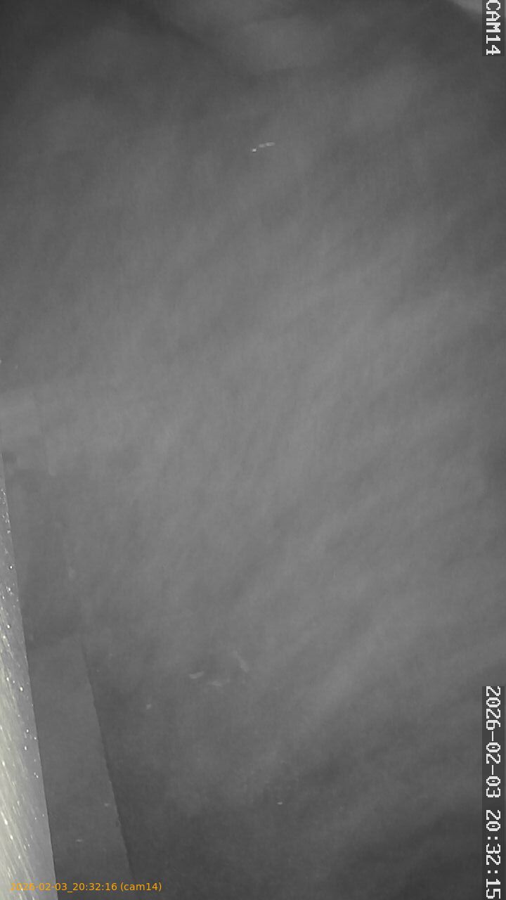 thumbnail_20260203203216