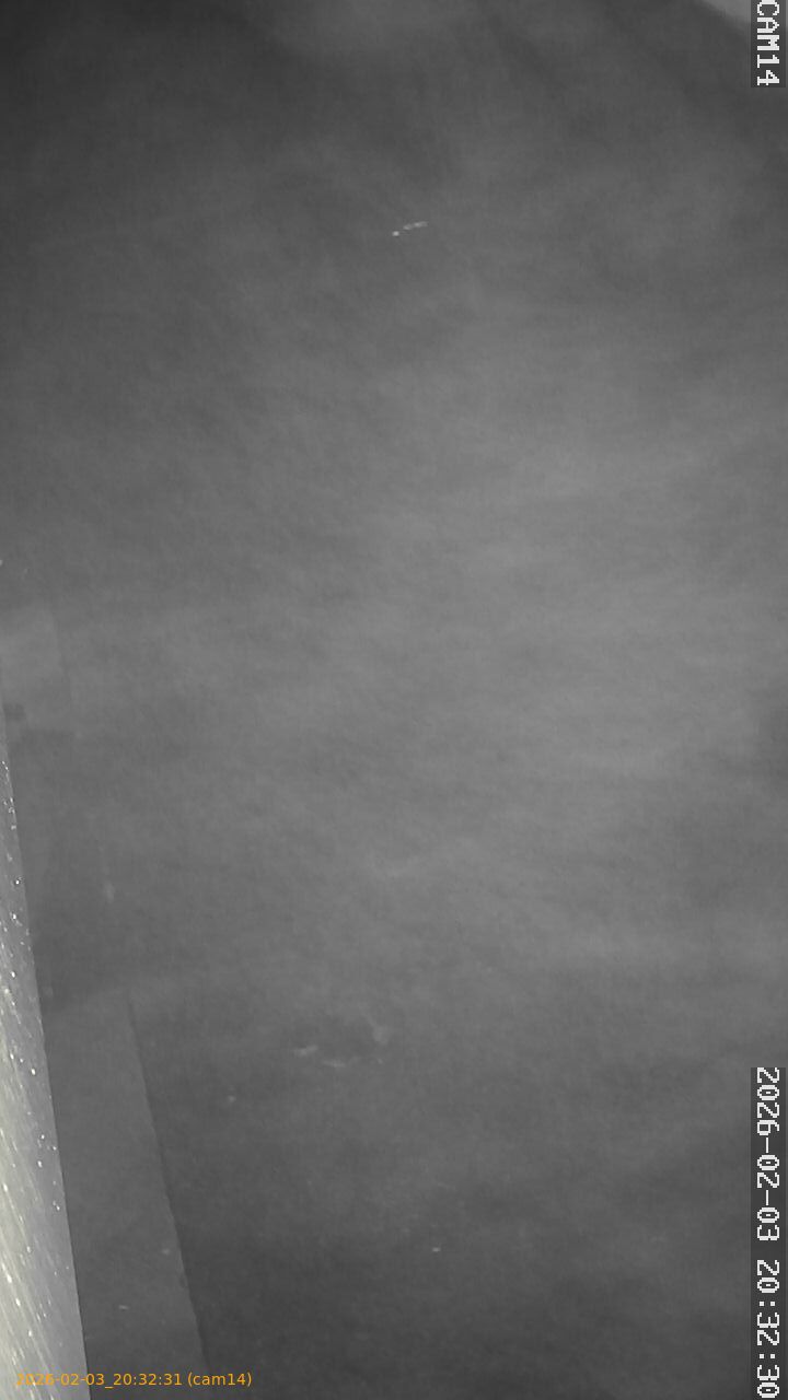 thumbnail_20260203203231