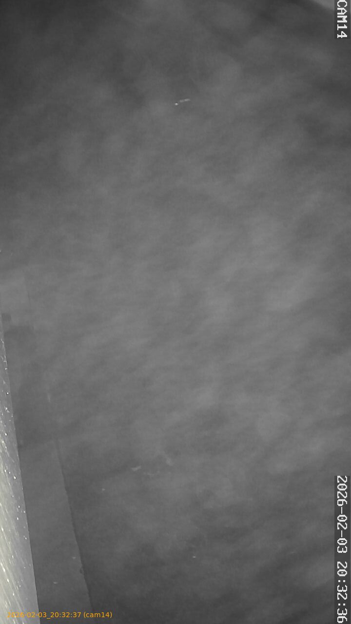 thumbnail_20260203203237