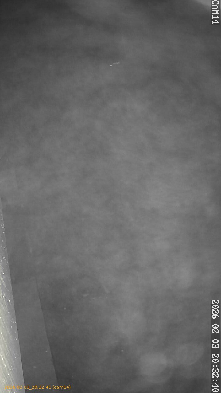 thumbnail_20260203203241