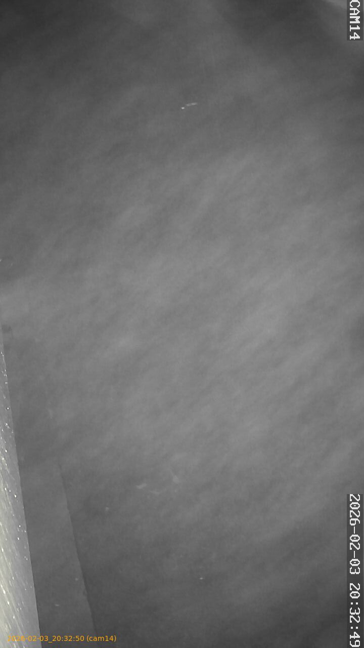 thumbnail_20260203203250