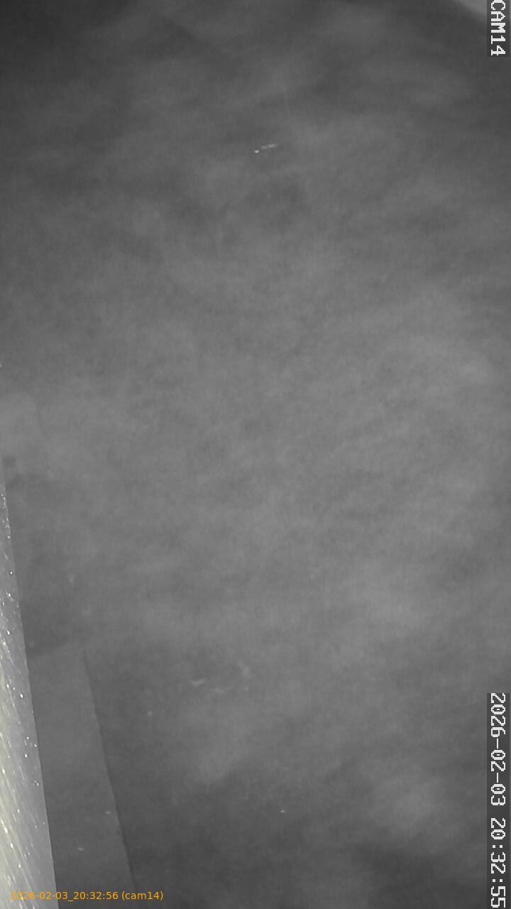 thumbnail_20260203203256