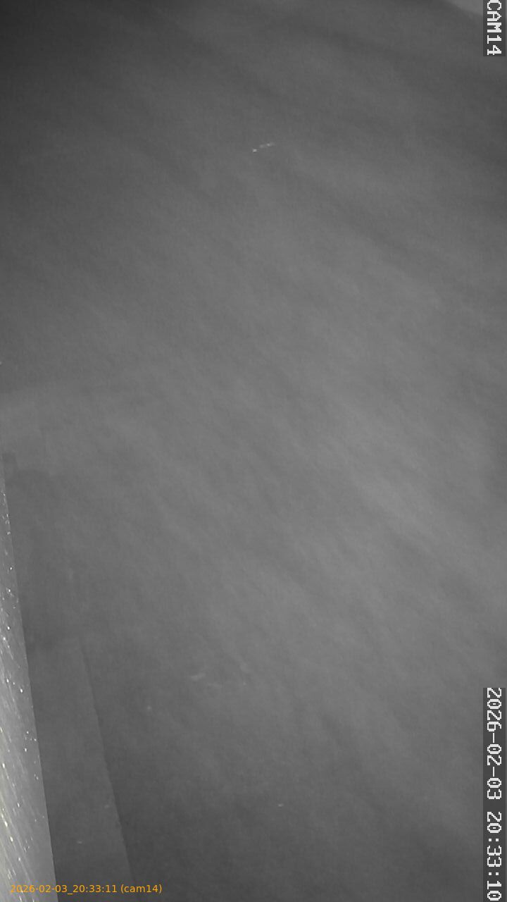 thumbnail_20260203203311