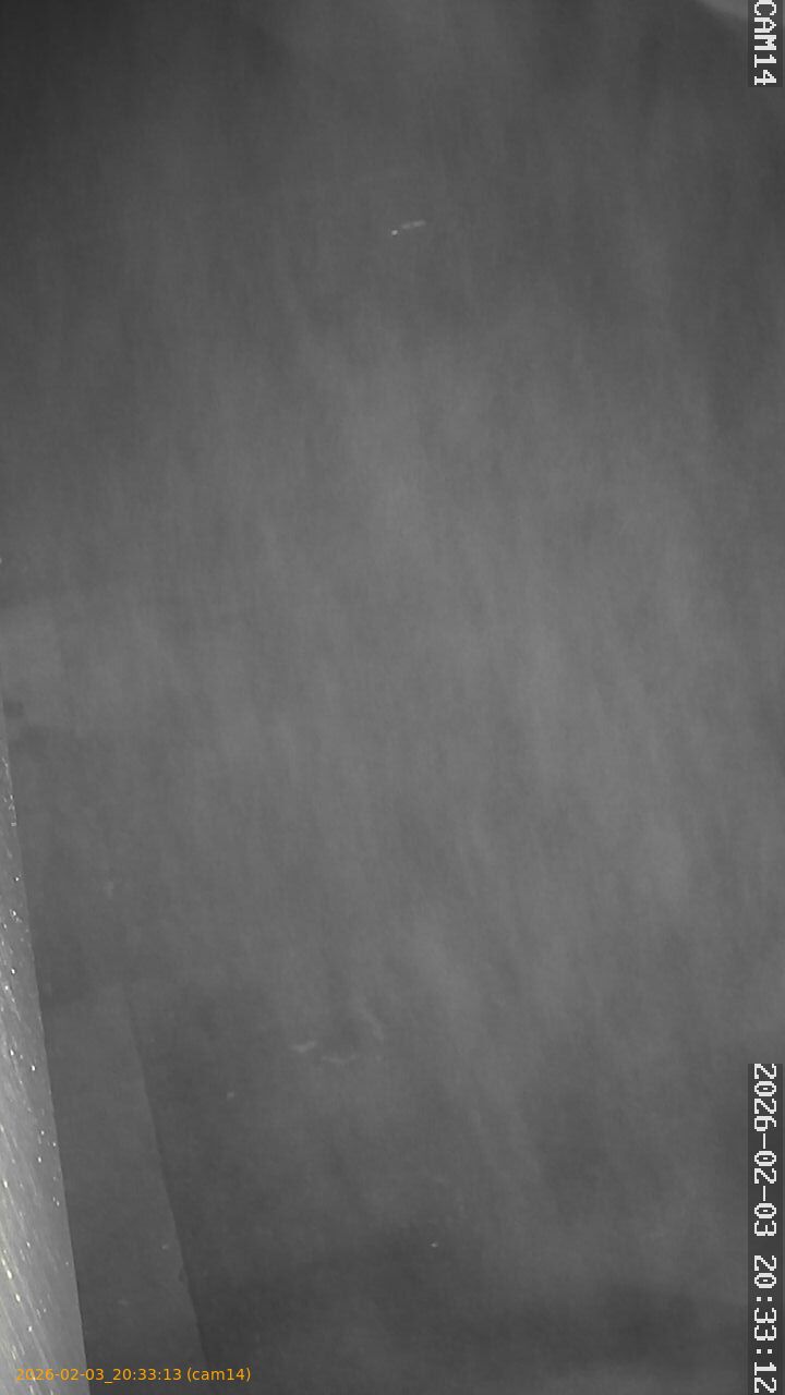 thumbnail_20260203203313