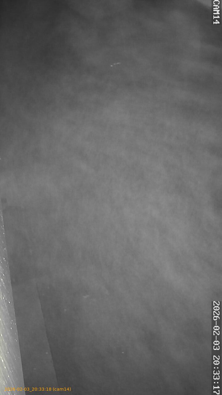 thumbnail_20260203203318