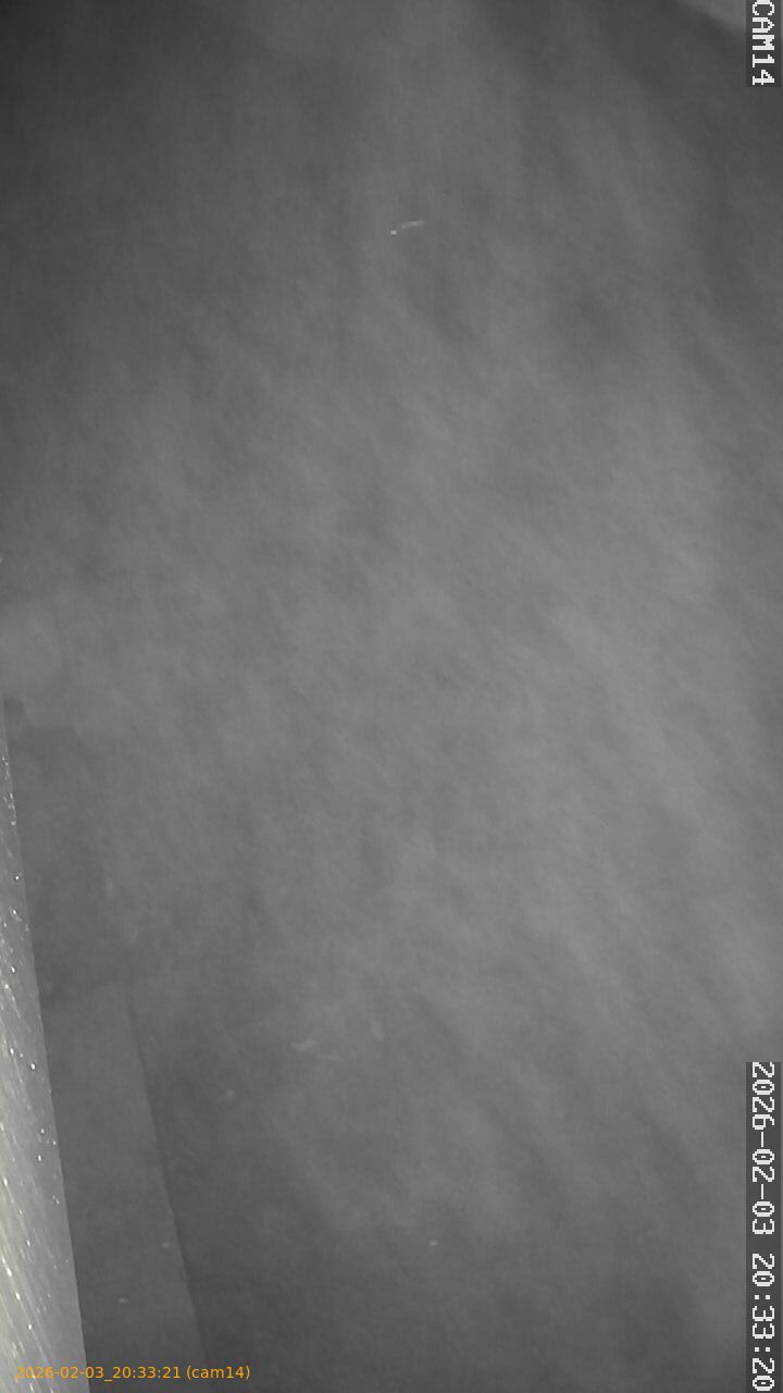 thumbnail_20260203203321