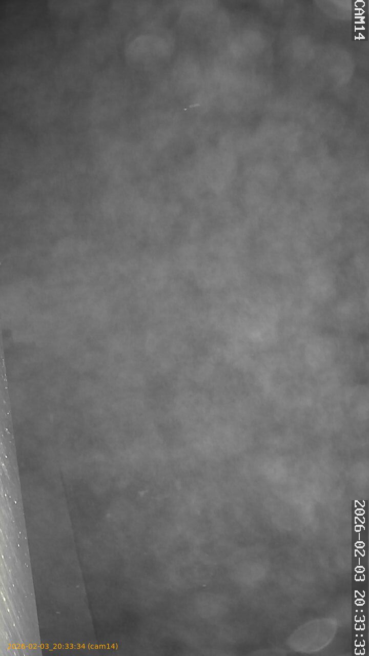 thumbnail_20260203203334