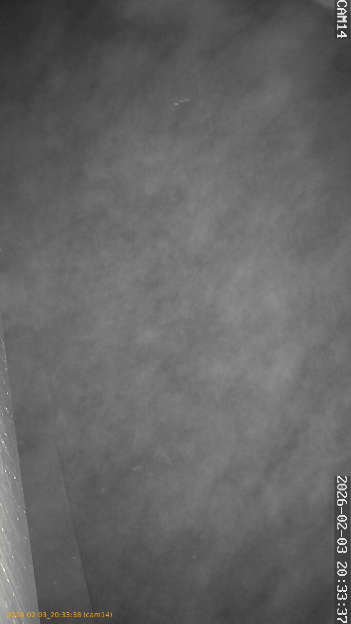 thumbnail_20260203203338