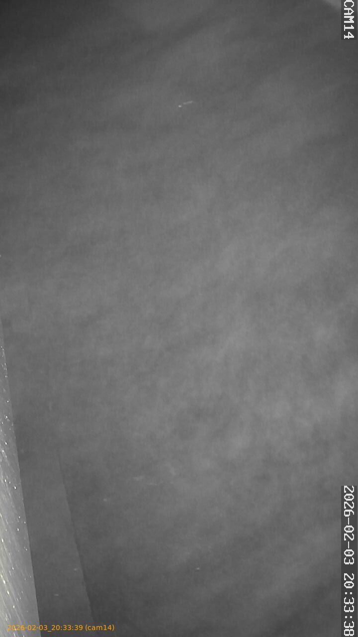 thumbnail_20260203203339