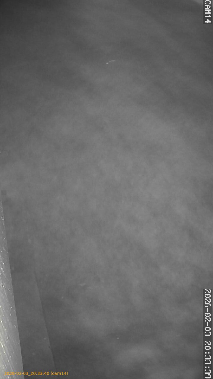 thumbnail_20260203203340