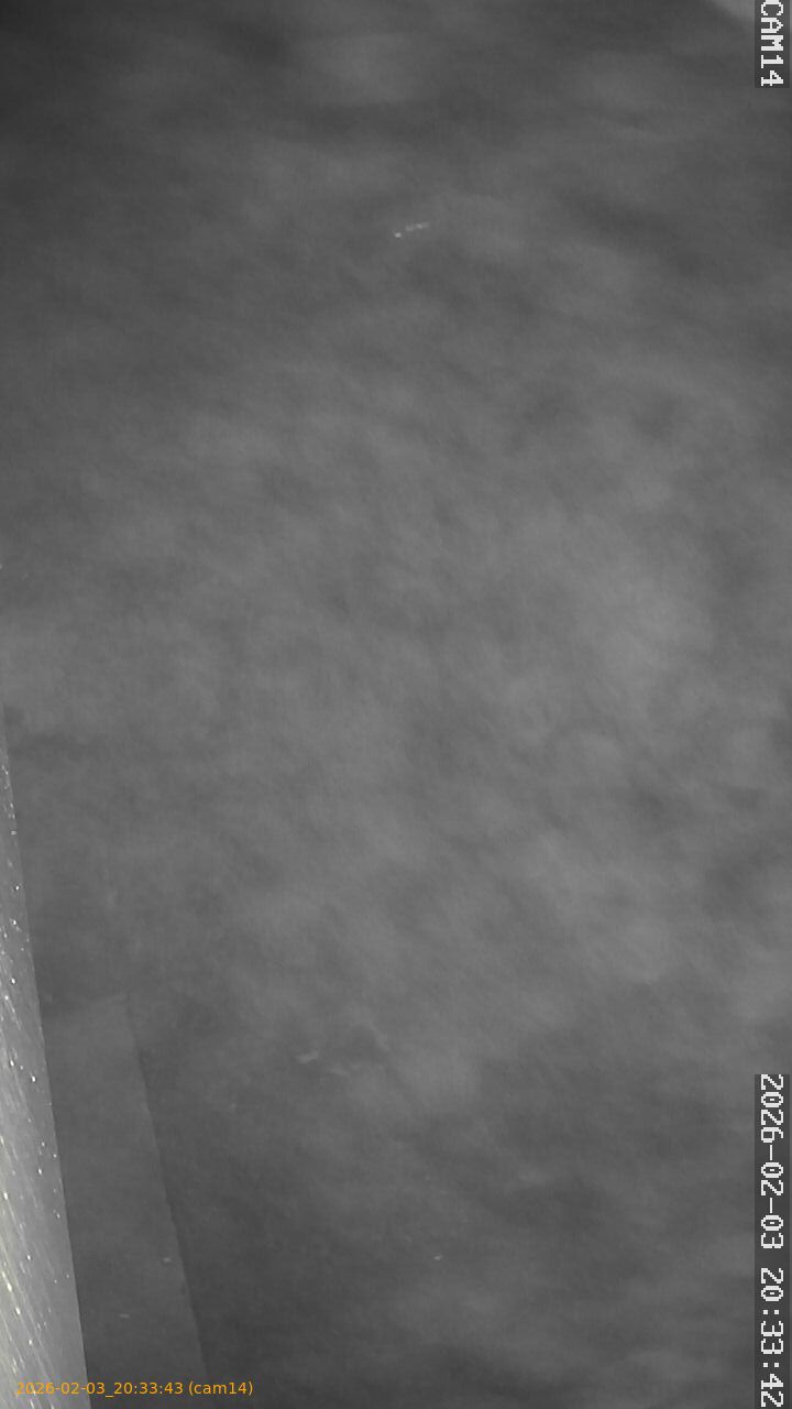 thumbnail_20260203203343