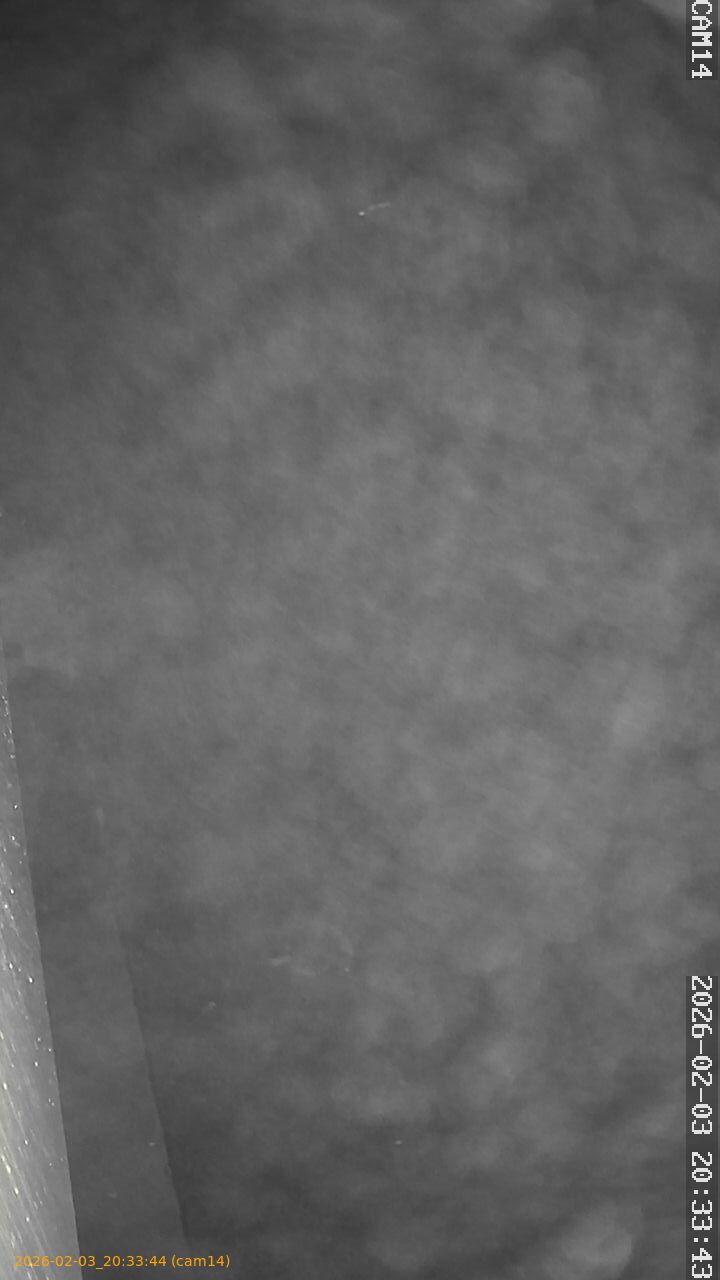 thumbnail_20260203203344