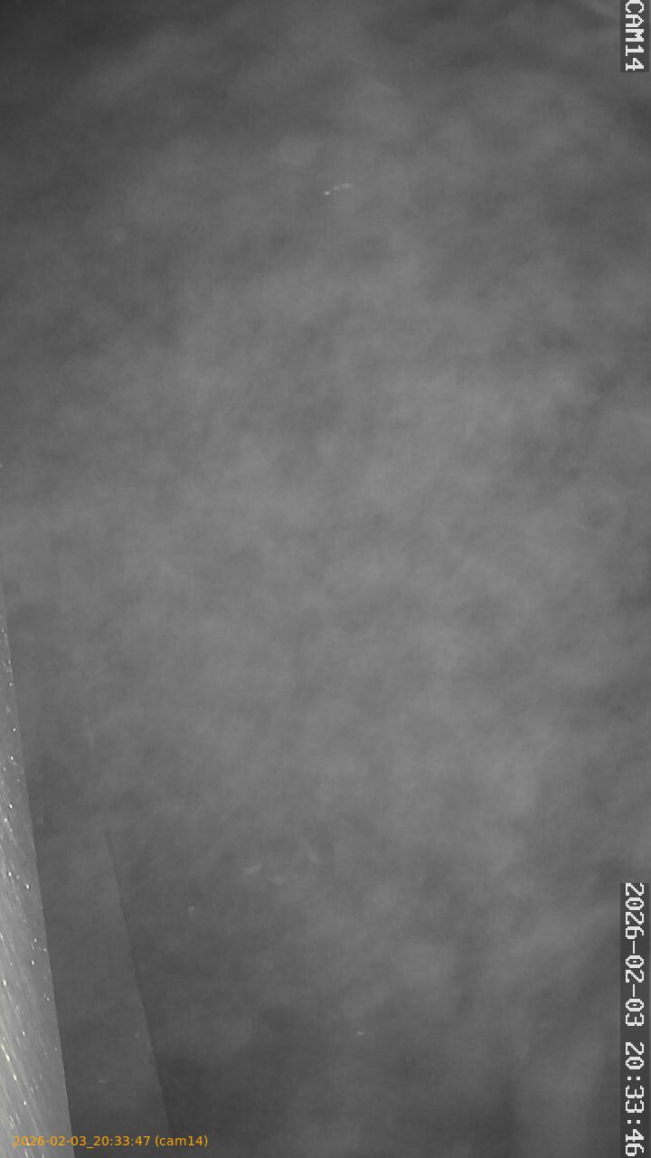 thumbnail_20260203203347