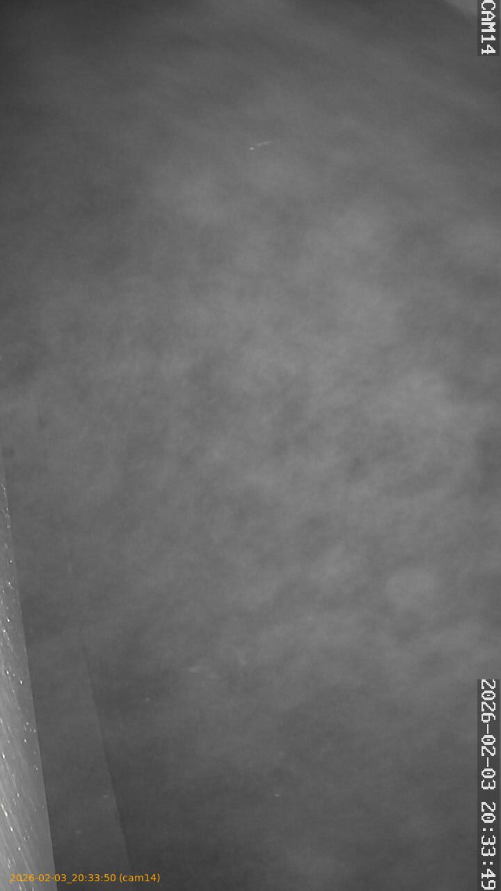 thumbnail_20260203203350