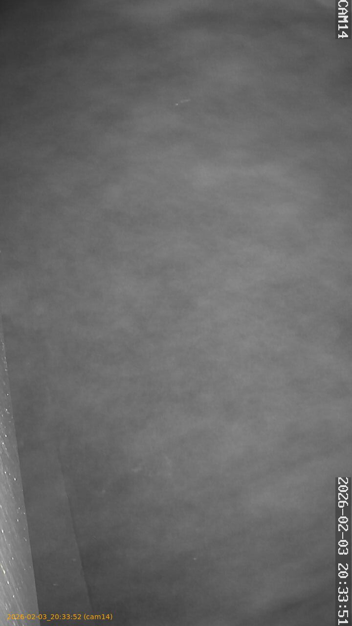 thumbnail_20260203203352