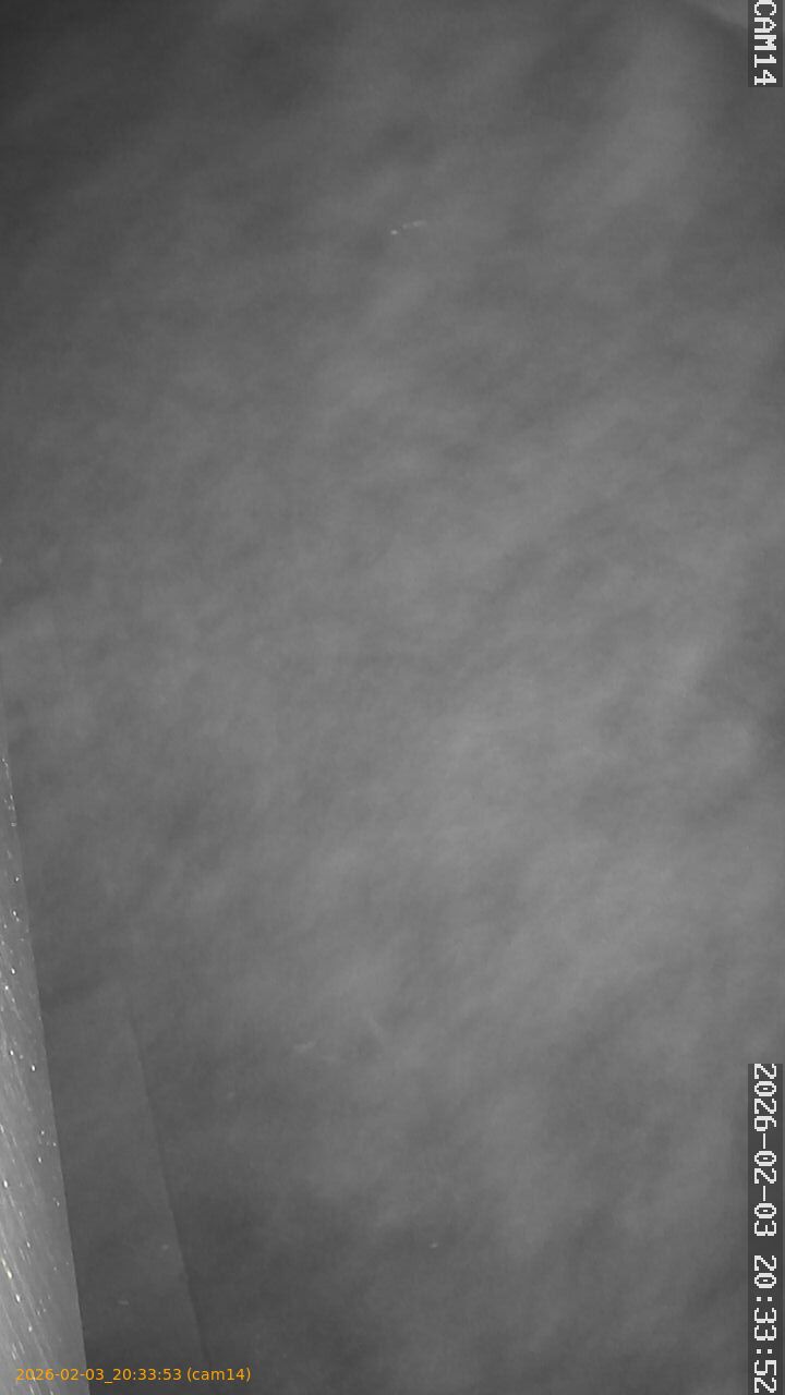 thumbnail_20260203203353