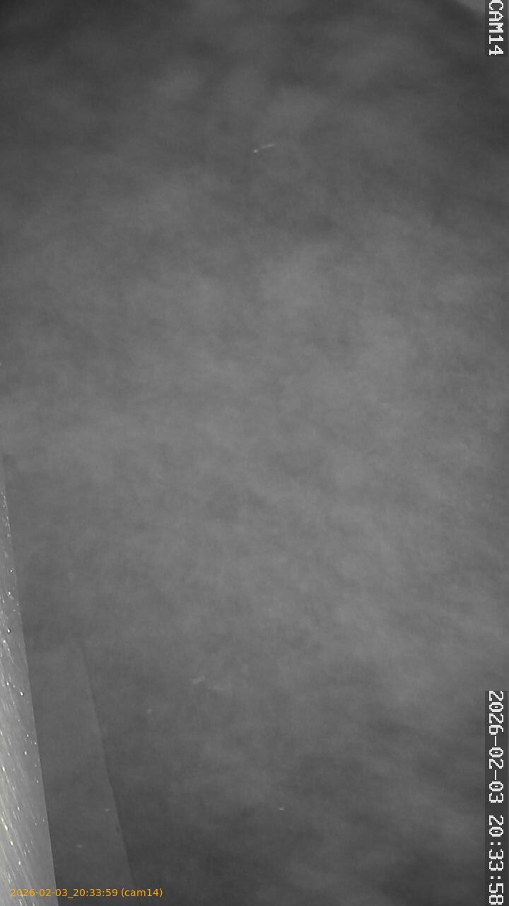 thumbnail_20260203203359