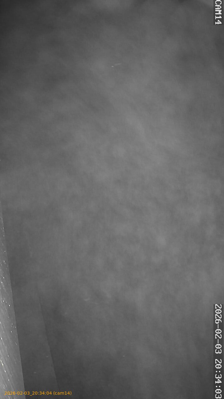 thumbnail_20260203203404