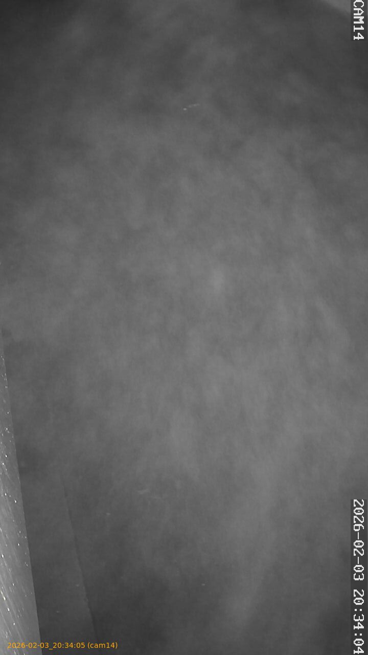 thumbnail_20260203203405