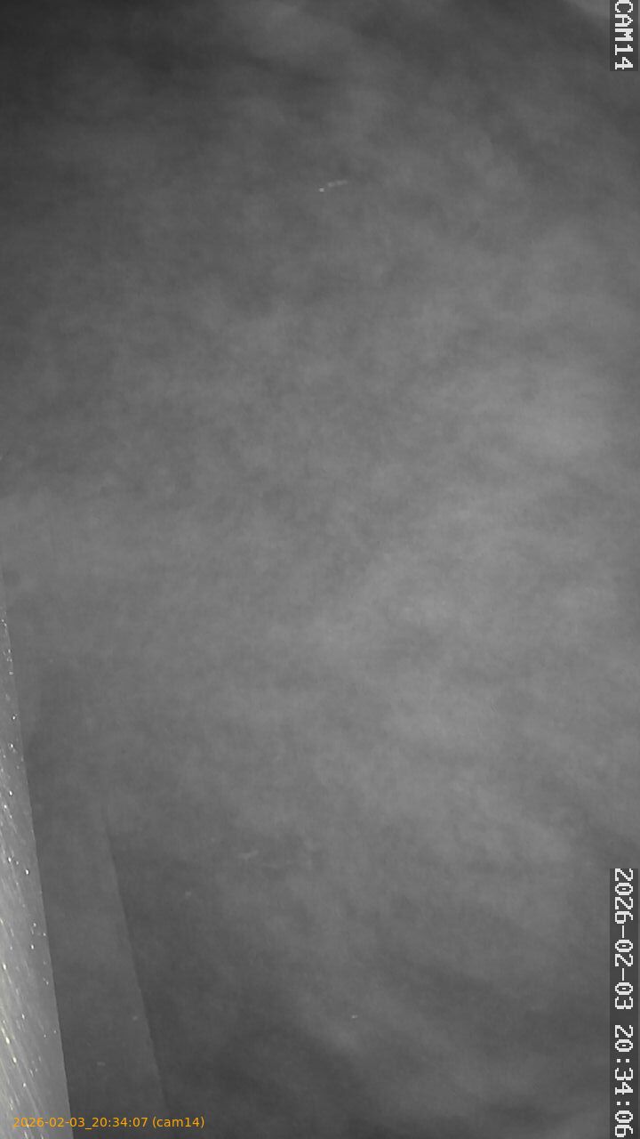 thumbnail_20260203203407